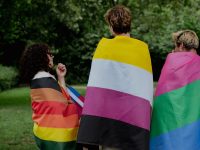 bandeira polisexual
