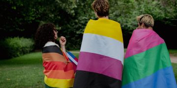 bandeira polisexual